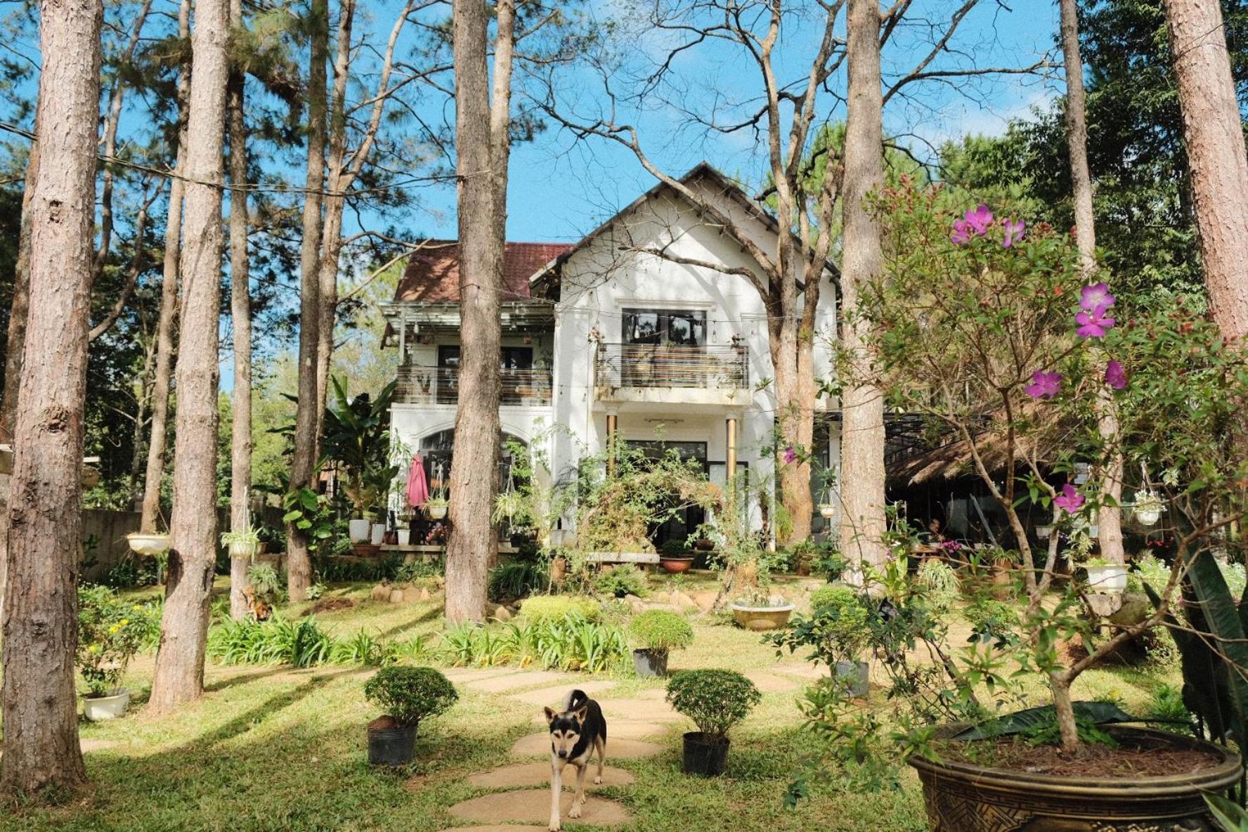 S'Nghe Homestay Mang Den Kon Von Kla Exterior photo