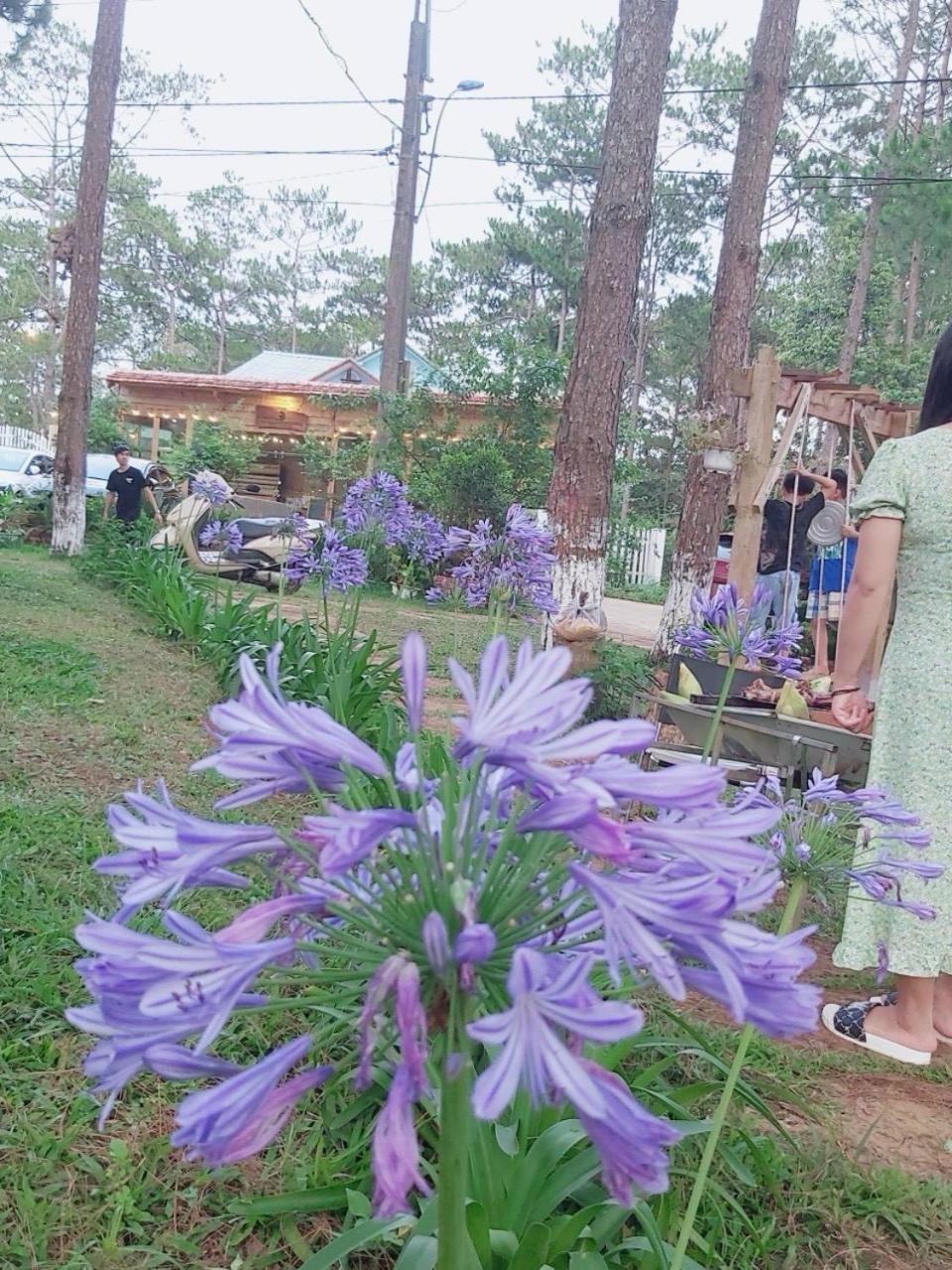 S'Nghe Homestay Mang Den Kon Von Kla Exterior photo