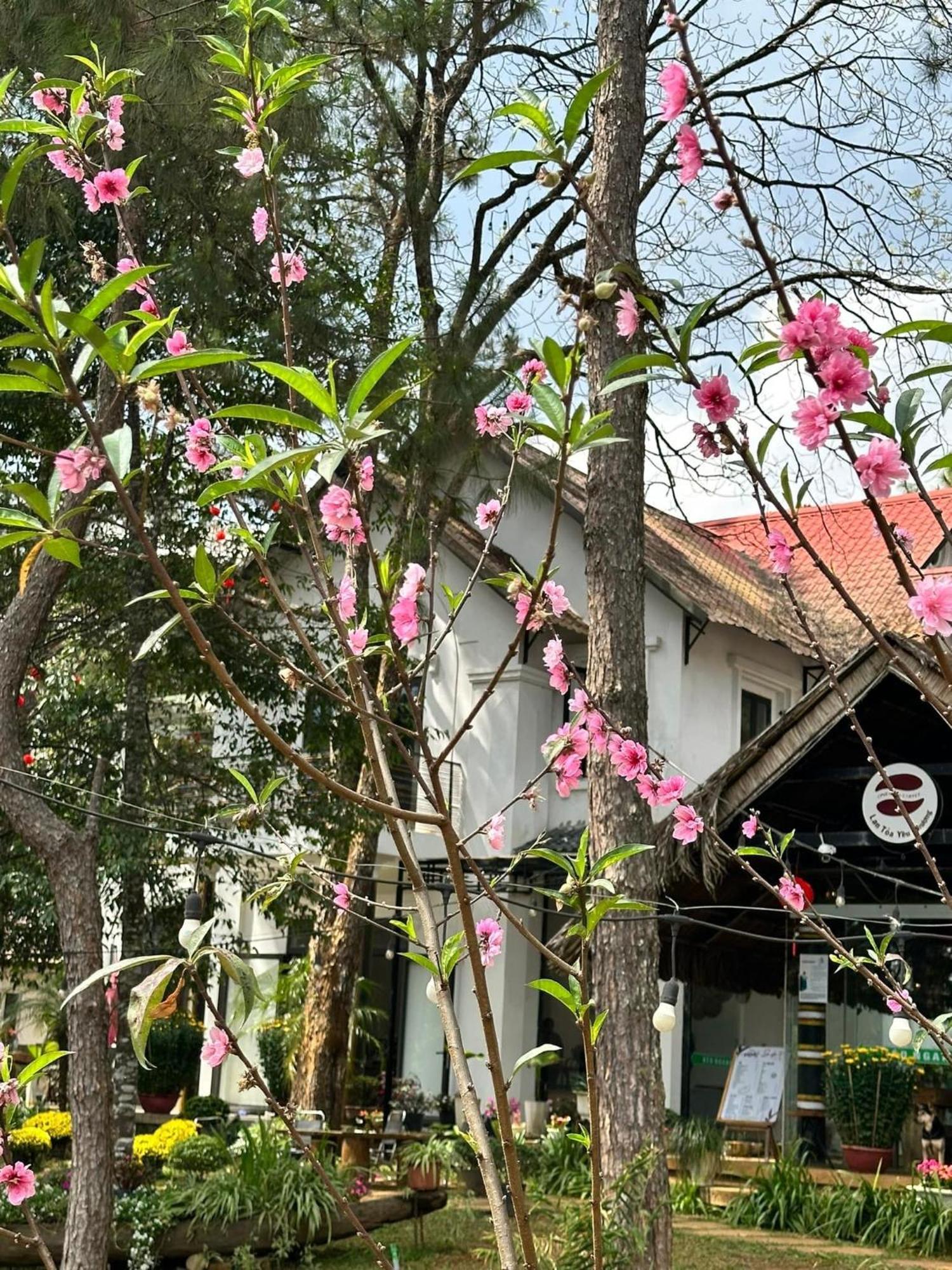 S'Nghe Homestay Mang Den Kon Von Kla Exterior photo