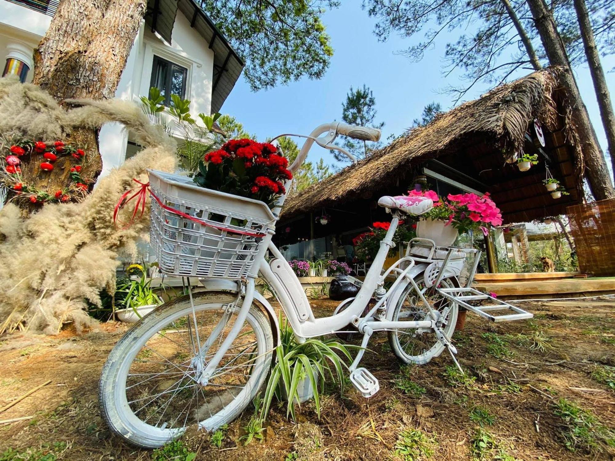 S'Nghe Homestay Mang Den Kon Von Kla Exterior photo